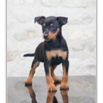 FB_IMG_1764005929315