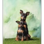 FB_IMG_1764006137574