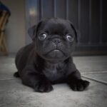 Screenshot_20251122_152741