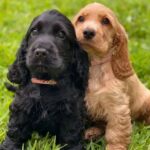 Screenshot_20251122_162847