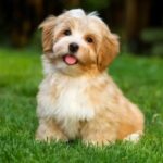 Screenshot_20251127_015729