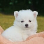 Screenshot_20251202_202026