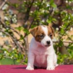 Screenshot_20251203_111450