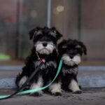 Screenshot_20251211_120116