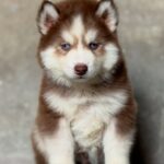 Screenshot_20251216_105639