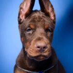 Screenshot_20251216_124727