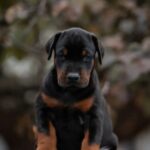 Screenshot_20251216_132323