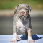 Screenshot_20251216_135132