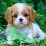 da7fd190a9dd5629465a087d91a2c400